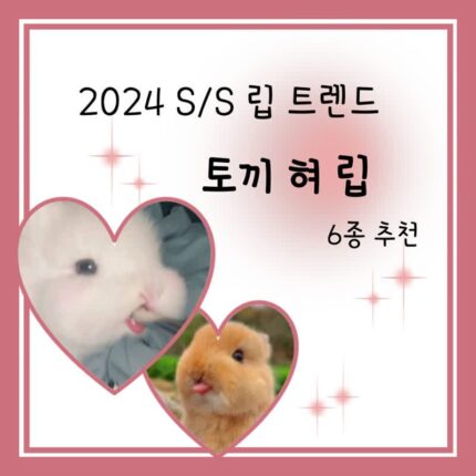 2024유행 토끼혀립! 이것만 있으면 걱정 없어, 촉촉 핑크립 6종 추천