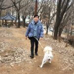 요리사 이연복, 반려견 ‘생일이’와 전한 근황…”봄이 바로 코앞까지”
