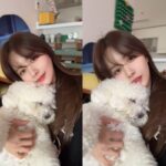 한보름, 반려견 ‘블링이’와의 일상 공개…”밥 먹고 산책하고 행벅♥”