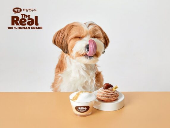 ‘댕댕이랑 멍푸치노 먹으러 가자!’…하림펫푸드, 하남 스타필드 몰리스서 간식 시식 행사 진행