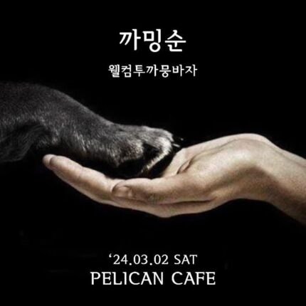 ‘까뭉상사’, 오는 3월 2일 유기동물 위한 바자회 개최