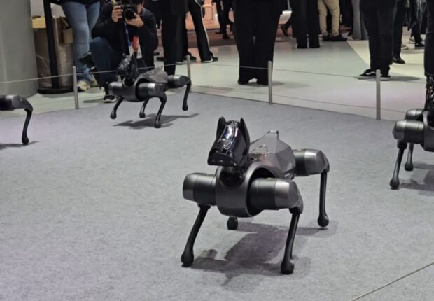[MWC 2024] 턱 만지면 꼬리 살랑살랑…이색 로봇 눈길