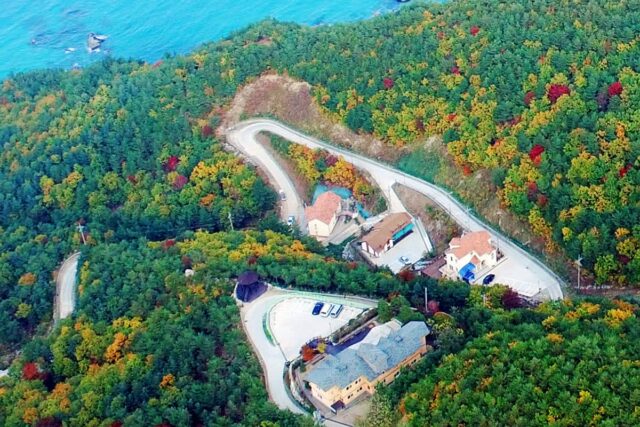 “바다 아니죠” 진짜 강릉 여행할 줄 아는 사람들이 간다는 숲 여행지 5곳