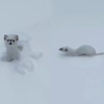 스키장 눈 사이로 튀어나온 ‘작은 얼굴’…’귀여움에 스키어들 얼음!’
