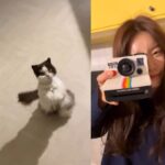 걸스데이 소진, 반려묘 ‘누룽지’와 전한 반가운 근황…”내 그림자 귀엽지”