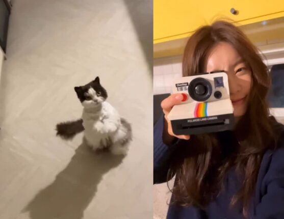걸스데이 소진, 반려묘 ‘누룽지’와 전한 반가운 근황…”내 그림자 귀엽지”