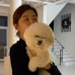 장희진, 반려견 ‘동동이’와 전한 반가운 근황…”마실”
