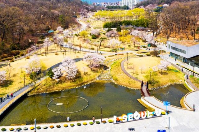 이렇게 신비로웠어? 한국 도심 속 숨겨진 공원 5곳