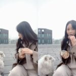 홍진영, 스튜디오에서 만난 고양이 ‘햇살이’와 꽁냥꽁냥…”눈치쿠키”