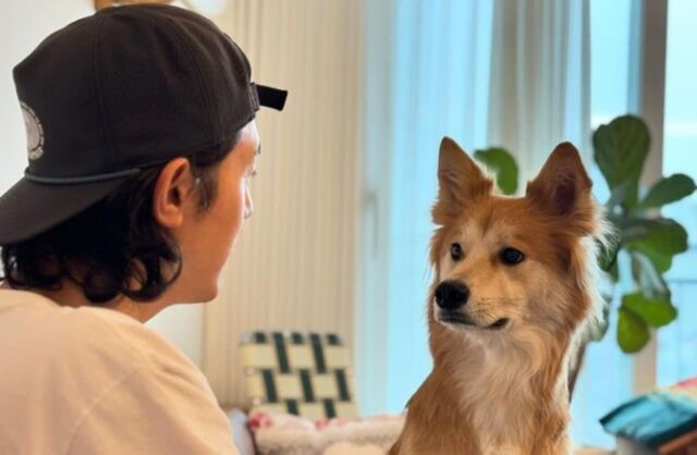 이기우, 반려견 ‘테디’와 달달한 눈 맞춤…”이렇게 마주 보고 있으면”