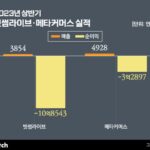 빗썸라이브 이어 ‘메타커머스’도 해산