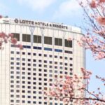 봄캉스 소식 모음 : 석촌호수 벚꽃놀이 호텔부터 제주 벚꽃 오름 산책까지