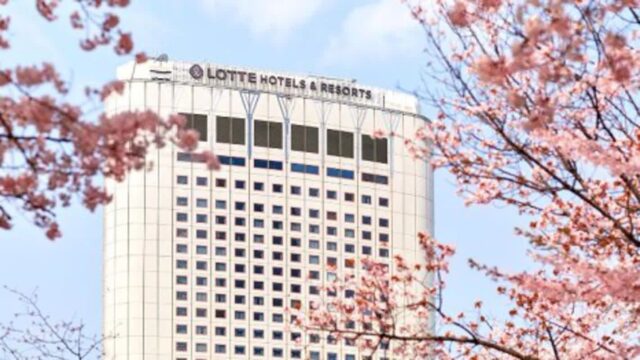 봄캉스 소식 모음 : 석촌호수 벚꽃놀이 호텔부터 제주 벚꽃 오름 산책까지