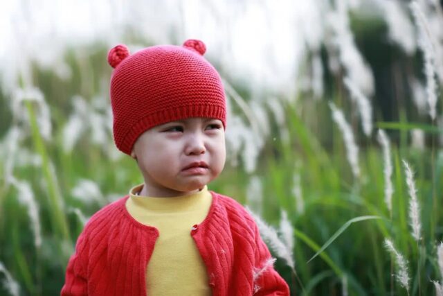 갑자기 사라진 3살 아이..냄새 맡은 ‘개’가 향한 곳은?
