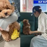 전종서, 아픈 반려견 ‘빌리’ 품에 꼭 끌어안고…”she’s sick”