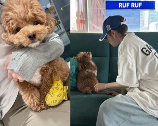 전종서, 아픈 반려견 ‘빌리’ 품에 꼭 끌어안고…”she’s sick”