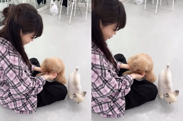 청하, 반려견 ‘밤비♥아란’과의 행복한 일상 공개…”강아지 간식 주는 법”