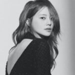 드레스 여신이 연말 시상식에 모습을 안보인 이유