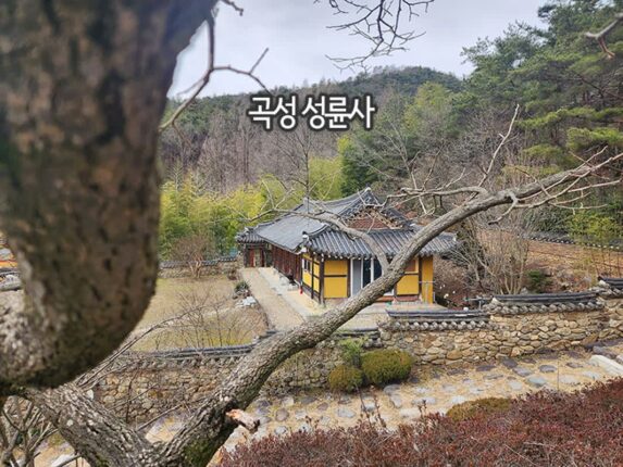 전라남도 여행 전통사찰 성륜사 곡성 여행