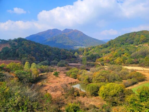 경북여행 문경여행 가볼만한곳 돌리네습지 봄산책