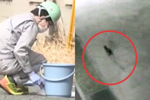 “비상이다” 현재 일본 전역 떠들썩하게 만든 사건, 심각합니다