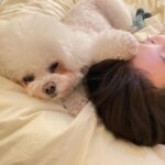 수지, 반려견 ‘데지’와의 행복한 일상 공개…”뒤적뒤적”