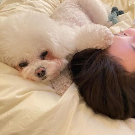 수지, 반려견 ‘데지’와의 행복한 일상 공개…”뒤적뒤적”