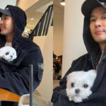 김지석, 강아지 품에 재우는 일상 공개…”개따뜻 개졸림…♥”