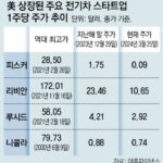 ‘테슬라 대항마’ 美 피스커 상장폐지