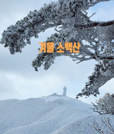 소백산 연화봉 등산코스 겨울 등산, 등산 준비물