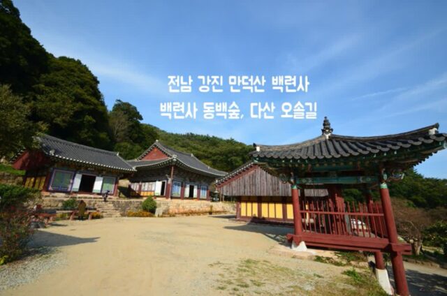 강진 만덕산 백련사, 백련사 동백숲, 다산 오솔길