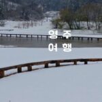 영주 가볼만한 곳 무섬마을 외나무다리