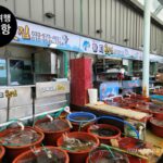 삼척 임원항 회센터 맛집, 주차장, 내돈내산 후기