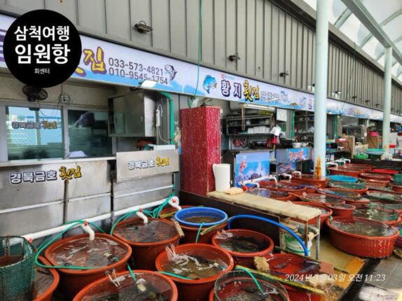 삼척 임원항 회센터 맛집, 주차장, 내돈내산 후기