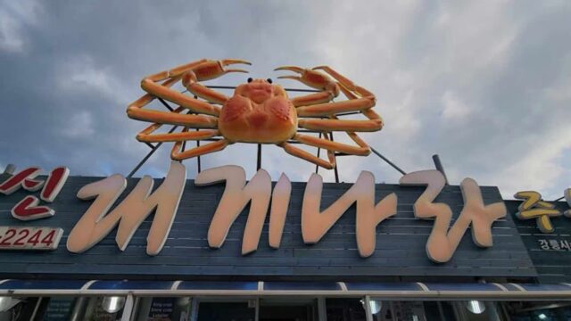 강릉여행 주문진수산시장 맛집 신대게나라