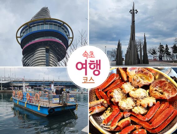 강원도 속초 가볼만한곳 당일치기 여행 꼭 들리는 소품샵