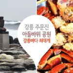 강릉 주문진 아들바위 공원 강릉바다 들러 최대게