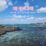3월 제주도 여행 제주 서쪽 가장 큰 항구 한림항 제주 바다