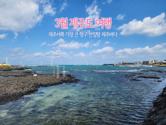 3월 제주도 여행 제주 서쪽 가장 큰 항구 한림항 제주 바다