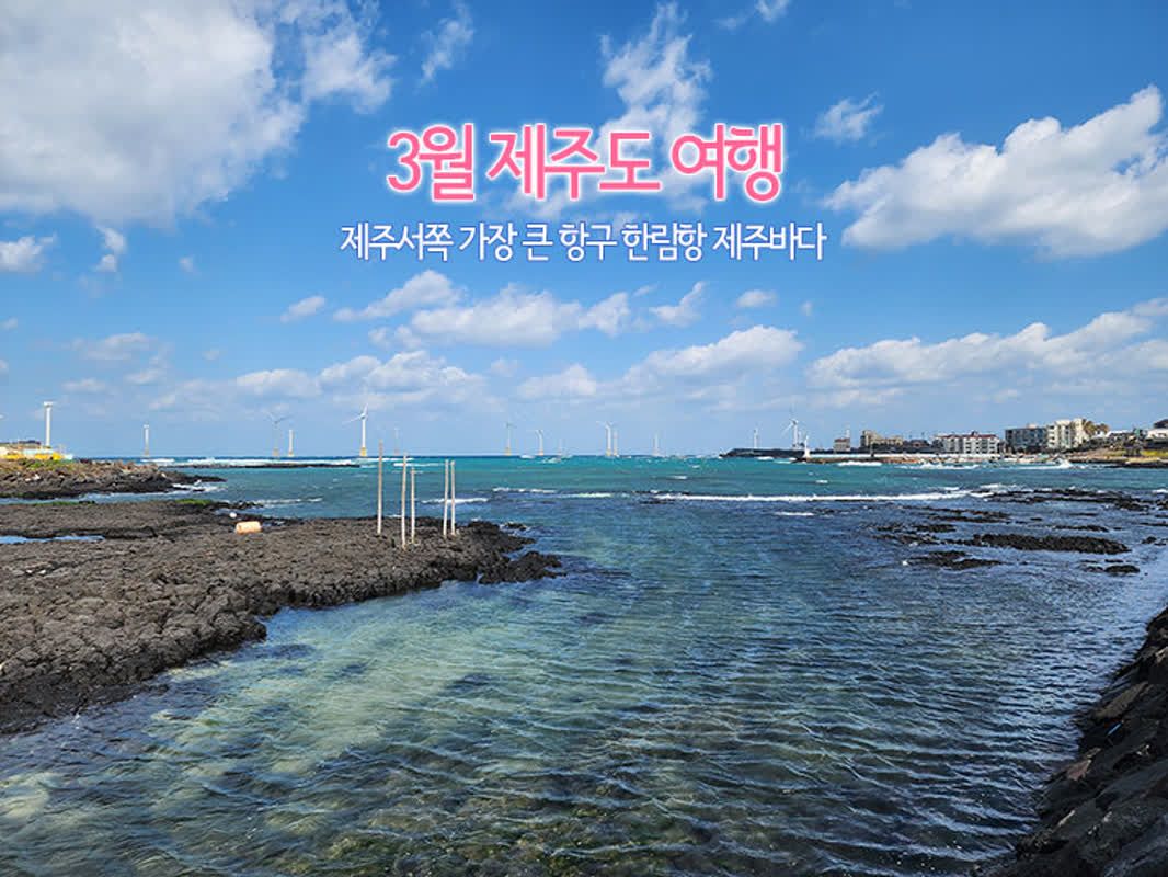 3월 제주도 여행 제주 서쪽 가장 큰 항구 한림항 제주 바다 | 쿠니의 아웃도어 라이프