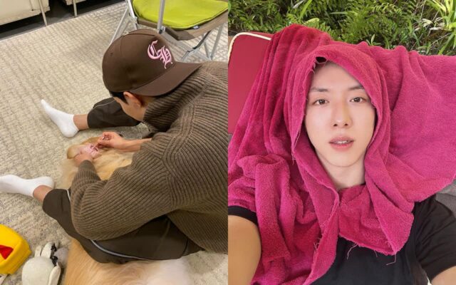 이정신, 반려견 ‘심바’ 귀 청소해 주는 일상 공개…”장인정신”