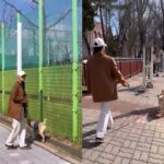 설현, 유기견과 함께 걷는 산책 봉사 참여