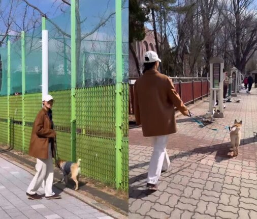 설현, 유기견과 함께 걷는 산책 봉사 참여