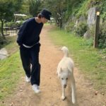 홍종현, 반려견 ‘진이’와 산책하는 일상 공개…”달려 홍진!!”
