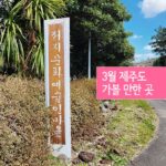 3월 제주도 가볼 만한 곳 저지 문화예술인 마을 골목여행