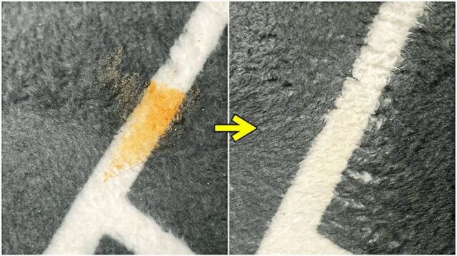 세탁 힘든 ‘카펫’에 김칫국물이!?이것 하나면 끝~