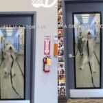 유치원 데리러 온 아빠 보호자 보자 기뻐서 ‘공중 부양’하는 강아지…’너무 신나개!’