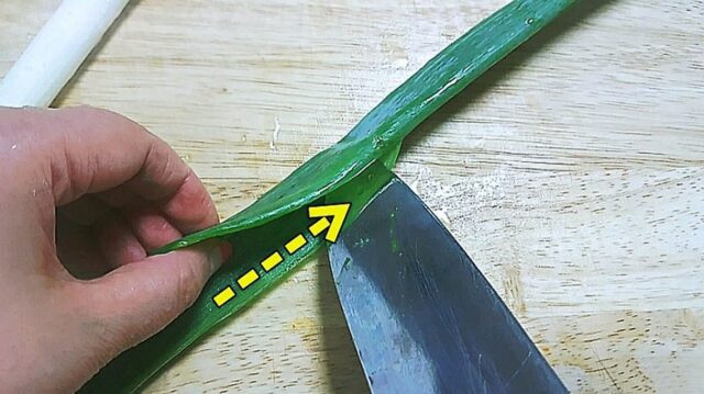 파채칼 없이도 ‘대파’ 고깃집처럼 얇게 썰 수 있다고!?