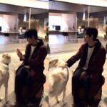 임시완, 강아지 ‘헤일리’와의 행복한 순간…”adorable”