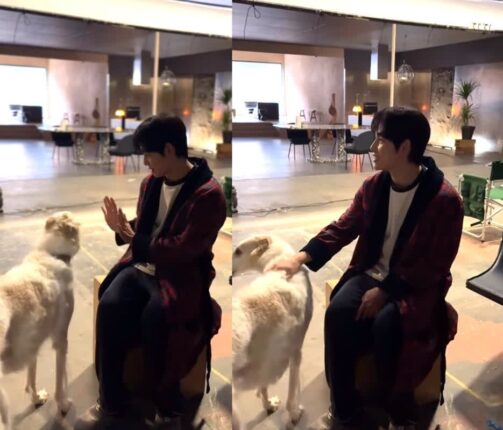 임시완, 강아지 ‘헤일리’와의 행복한 순간…”adorable”